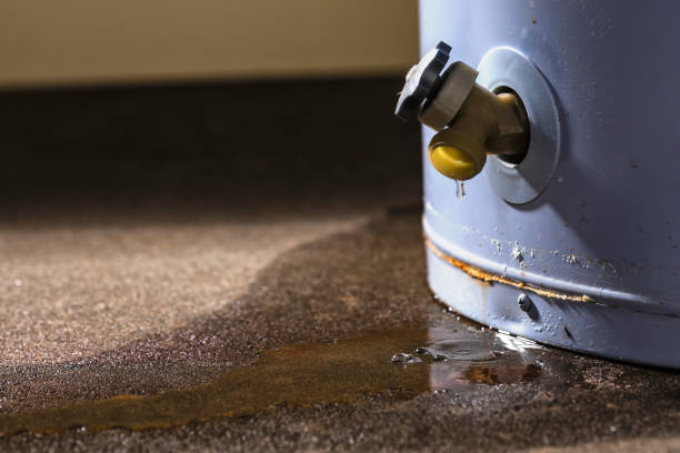 Best Water damage repair service  in Rock Springs, WY