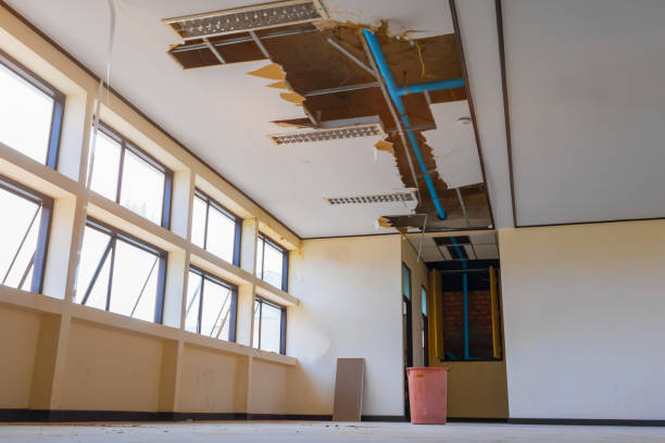 Best 24/7 water damage repair  in Rock Springs, WY
