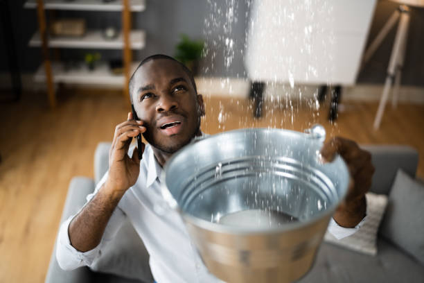 Best Ceiling water damage repair  in Rock Springs, WY