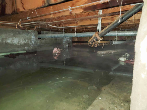 Best Commercial water damage restoration  in Rock Springs, WY
