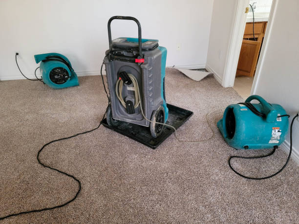 Best Professional water damage repair  in Rock Springs, WY