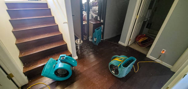 Best Professional water damage repair  in Rock Springs, WY