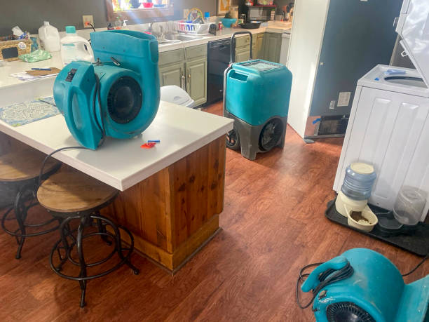 Best Carpet water damage restoration  in Rock Springs, WY