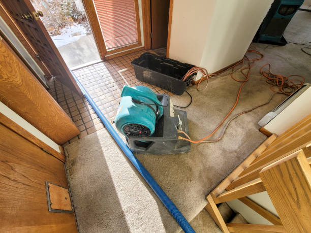 Best Mold removal after water damage  in Rock Springs, WY