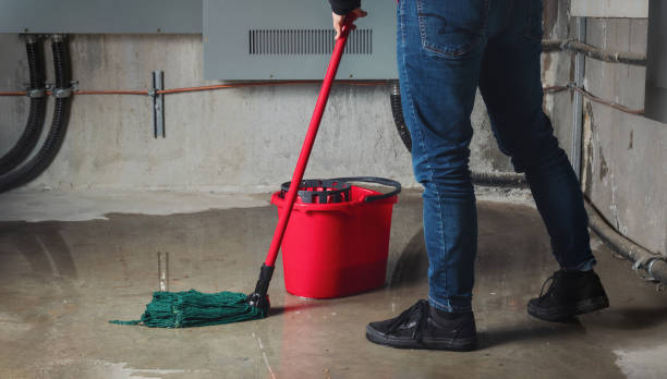 Best Water damage contractors near me  in Rock Springs, WY