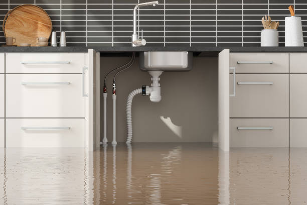Reliable WY Water damage restoration Solutions