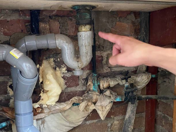 Water damage restoration mold remediation in WY