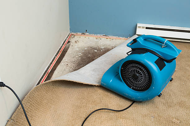 Best 24-hour water damage restoration  in Rock Springs, WY
